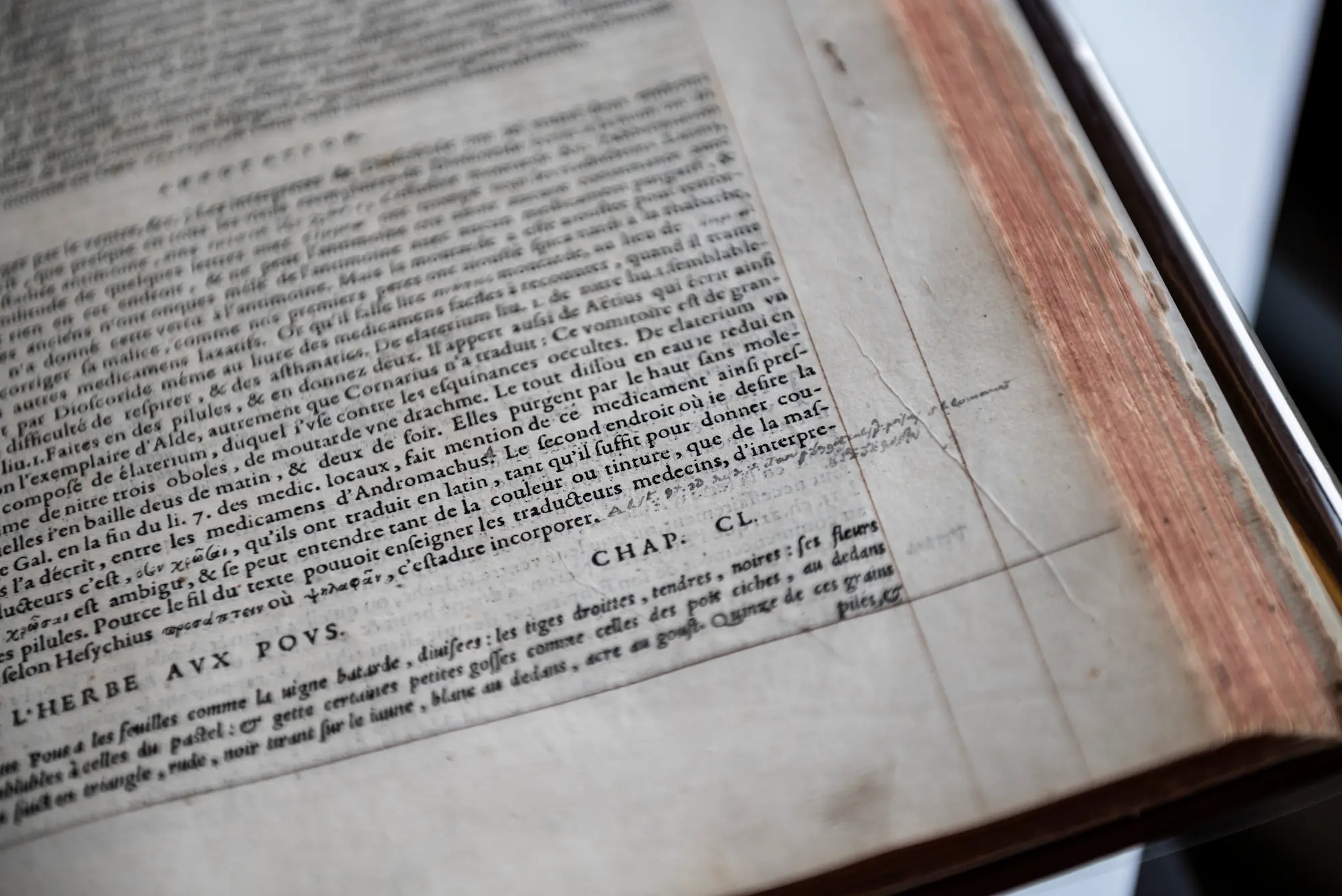Corrections manuscrites d’un ancien propriétaire