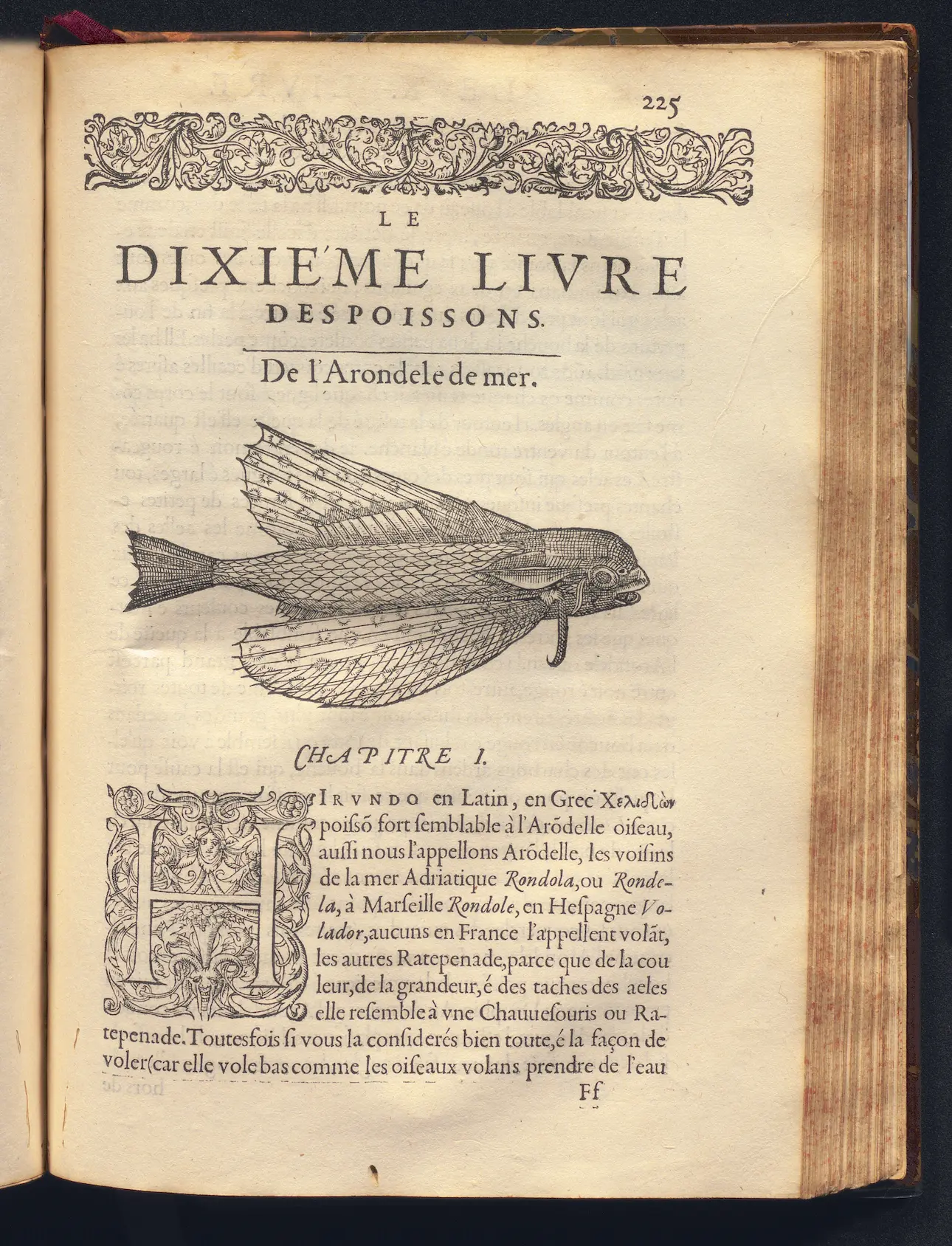 Sciences et médecine